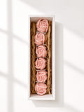 Tulipán Box